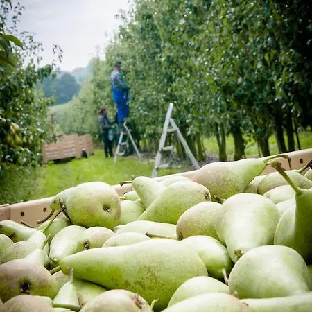 De Fruithoeve